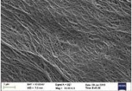 SEM comparator sample showing coarse aligned fibre bundles