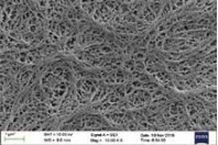 SEM comparator sample showing damaged pores and fractured fibre bundles